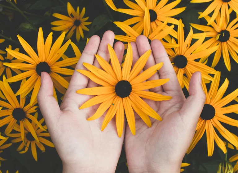 Exploring the Experience of Anticipatory Grief” with Dr. Jessica Thomas